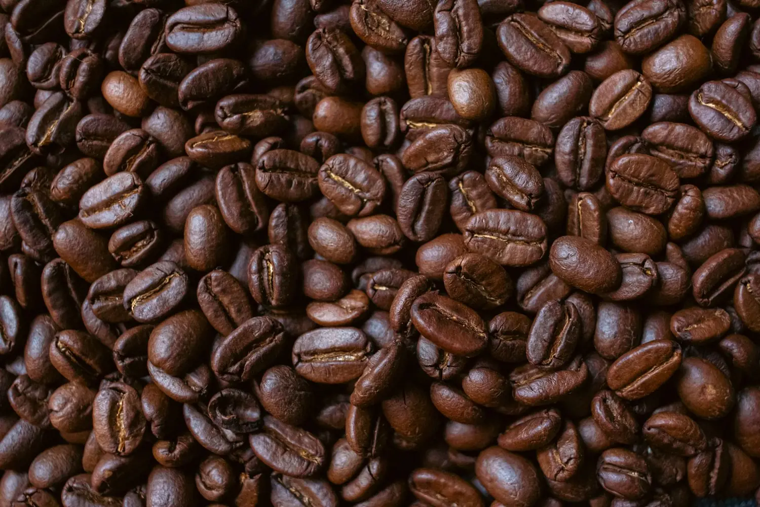 Dawn Patrol Breakfast Blend — Up close